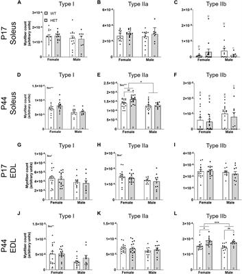 KMT5B is required for early motor development